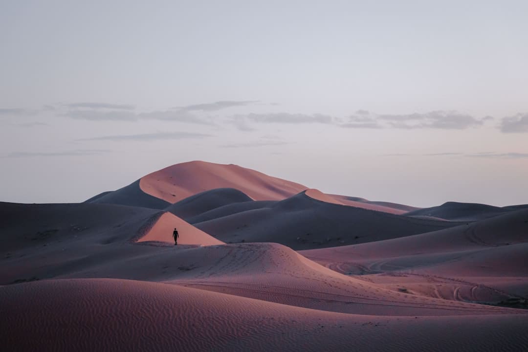 儿童画中国龙